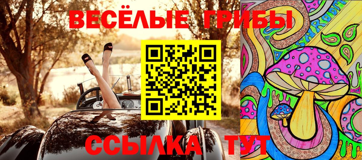 Псилоцибиновые грибы мицелий  Вход с VPN  Галлюциногенные грибы Psilocybe  Гусев 